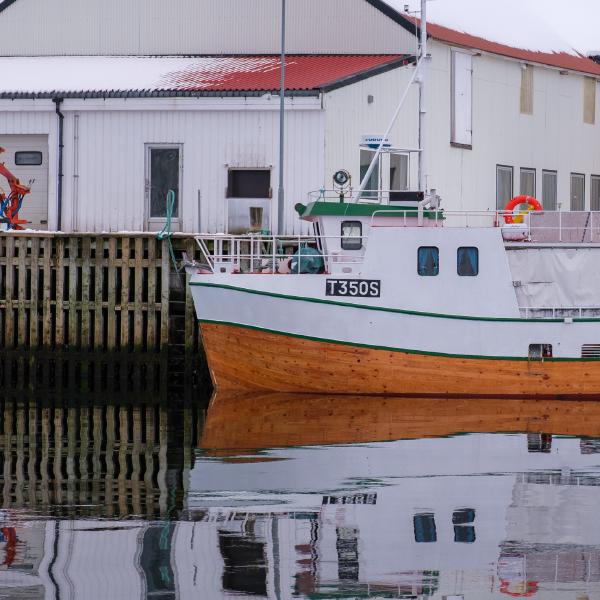 A local fishing boat